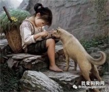 养狗，追求的应该是无价的忠诚与情谊