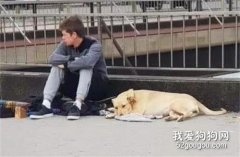 <b>狗狗护主遭警察开枪爆头，躺在地上的它仍在摇尾巴……</b>