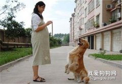 怀孕了如何与宠物相伴