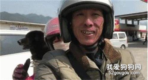 <b>过年了，狗子跟你一起回家吗？</b>