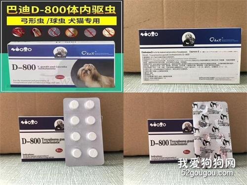 宠物体内外驱虫全攻略!