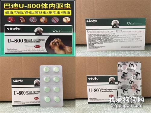 宠物体内外驱虫全攻略!