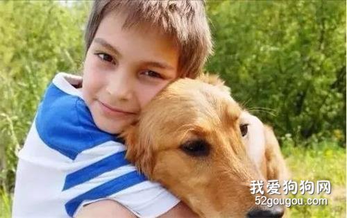<b>10个令狗狗压力爆棚的举动</b>
