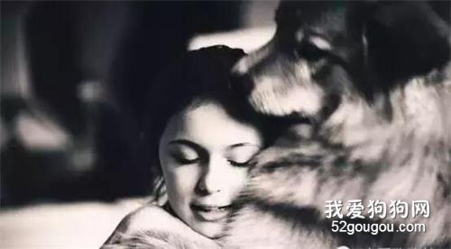 <b>你愿意，养一只心里眼里都只有你的汪吗？</b>
