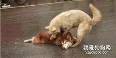 <b>希望这一幕，永远都不会再发生，真的很心痛....</b>
