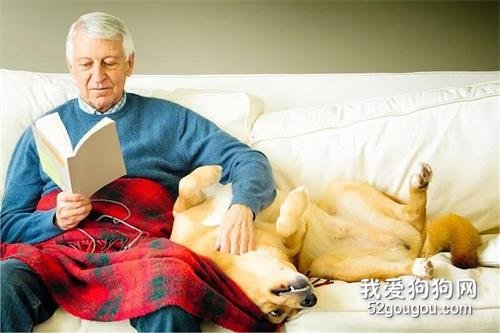 <b>15个养狗后的不自觉改变，全中你就是专业狗奴！</b>