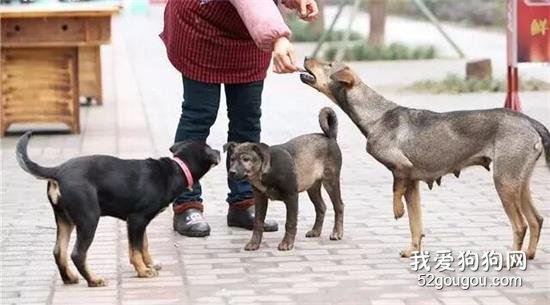 <b>变卖房产、拿出毕生积蓄，甚至众叛亲离，她们为什么这么拼？</b>