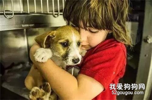<b>孩子，你为什么把小奶狗扔进还在燃烧的焚烧桶...</b>