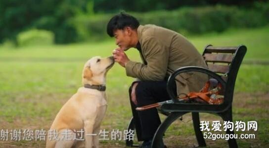 <b>论写情书，你可能还没有这只狗写的好！</b>