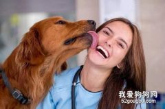 <b>如何判断狗狗是爱你的?</b>