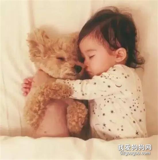 <b>小泰迪和宝宝靠在一起睡着的画面简直太温暖了！</b>