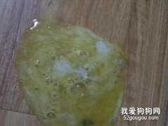 狗狗吐黄水如何治疗?