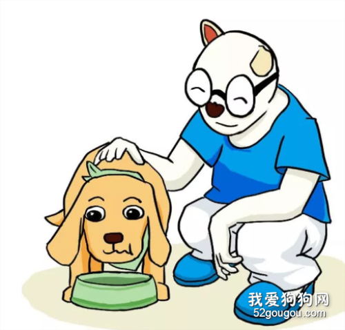 小狗胃胀气会威协性命?宠物医生:这并不是耸人听闻,防范很重要