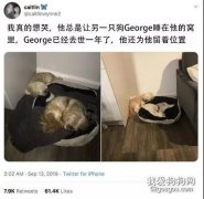 <b>狗狗总是固执不睡在窝里，原来，它在等...</b>