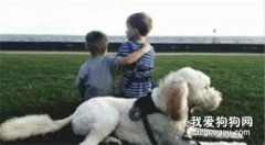 <b>5岁自闭症小孩，连妈妈都不让抱，只有这只狗狗是他唯一的玩伴！</b>