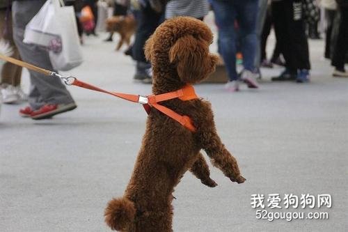<b>以爱之名的背后，藏得却是利欲熏心的伤害！</b>