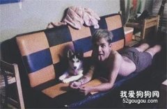 <b>铲屎官晒二哈的成长对比照，可网友的注意力在沙发上...</b>