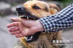 <b>被狗紧咬不放怎样快速让其松口？很多人不知道！</b>