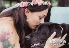 <b>宠物十大致死原因，养狗请爱狗</b>