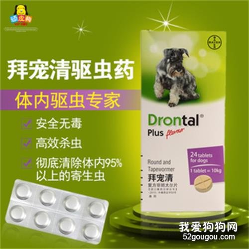 犬心保和拜宠清的区别 选择哪个更安全有效?