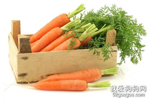 松狮泪痕如何清除,松狮幼犬泪痕会消退吗