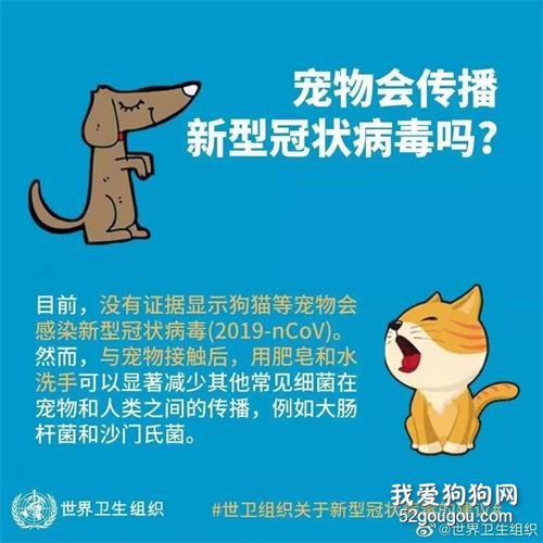 新型冠状病毒会传染猫狗吗 有哪些注意事项？