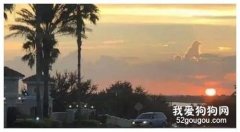 天空挂着一朵“狗狗云”，引来无数狗主的赞叹，这些云彩太可爱了