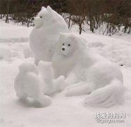 <b>网友堆了一个小萨形状的雪人，萨摩看过之后气坏了：“请问这是什么玩意？！</b>