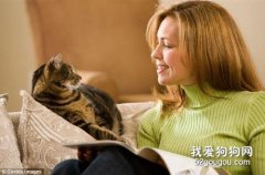 猫不亲近主人怎么办 不要过于心急，给猫咪点空间！