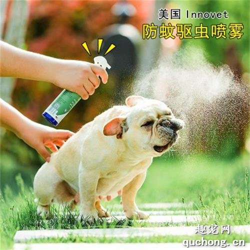 幼犬驱虫药多久吃一次?