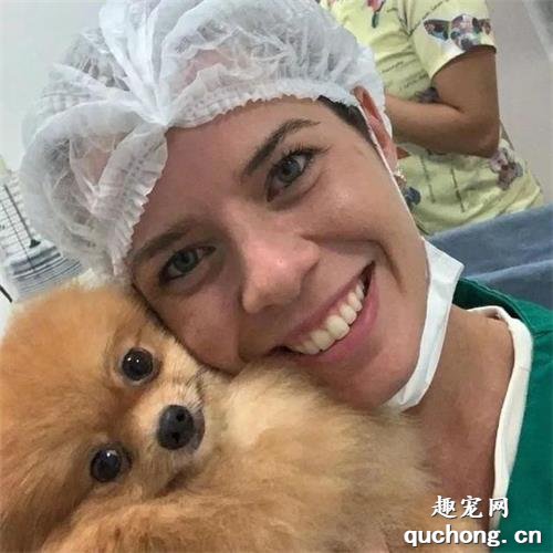 想养一只博美犬?你了解它的特性吗?