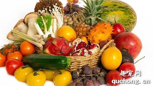 狗狗美毛的食物有什么?