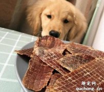 <b>如何给狗狗选择零食呢</b>