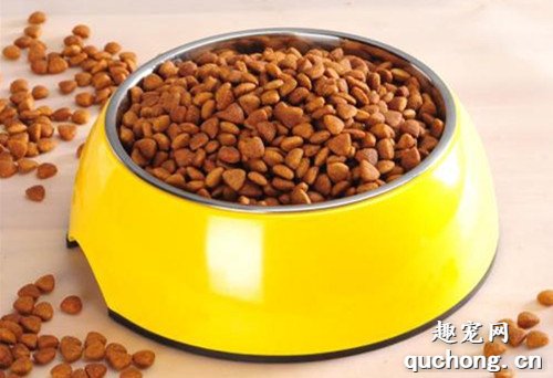 狗狗美毛的食物有什么,什么食物能够给狗狗美毛?