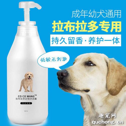怎么买狗狗沐浴露 狗狗沐浴露怎么选?