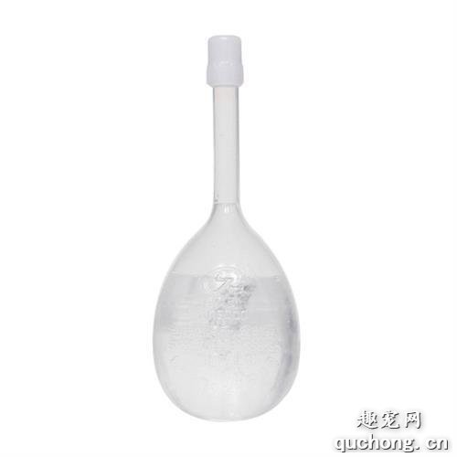 狗狗吃什么蔬菜能够推动排便?