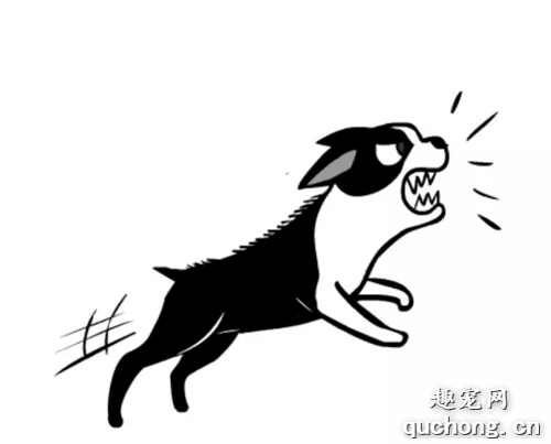 了解狗狗咬人的原因，你就不会被咬了