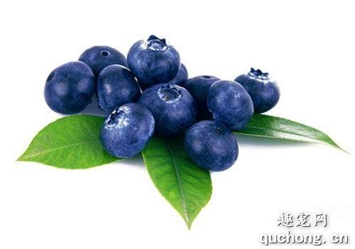 狗狗能吃哪些水果?