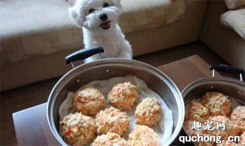 如何自己给狗狗自制食物?