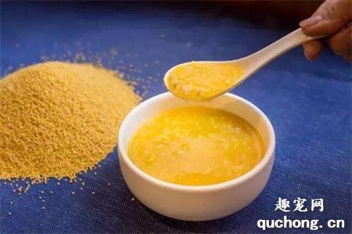 狗狗吃西瓜霜有损害吗?