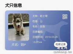 办养狗证需要哪些条件？