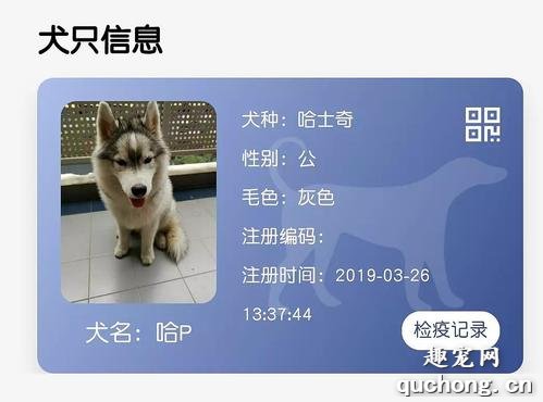 办养狗证需要哪些条件?
