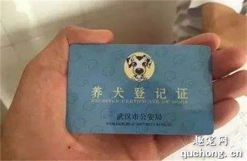 办养狗证需要哪些条件?