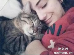 <b>猫咪能感受到人的爱吗？</b>