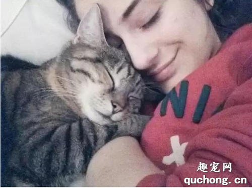 猫咪能感受到人的爱吗？