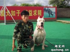 <b>做训犬师有什么危害</b>