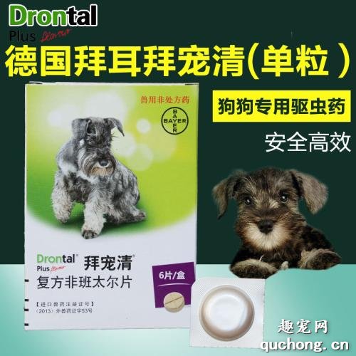 <b>养宠家庭有哪些必备用品及药物？</b>