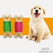 <b>幼犬几个月用磨牙棒？</b>
