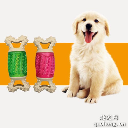 幼犬几个月用磨牙棒?