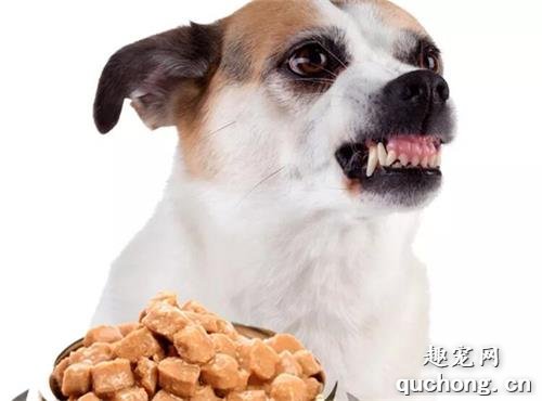 狗狗喜欢乱叫，护食，总咬人怎么办？